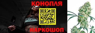 дмт Будённовск