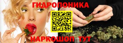 дмт Будённовск